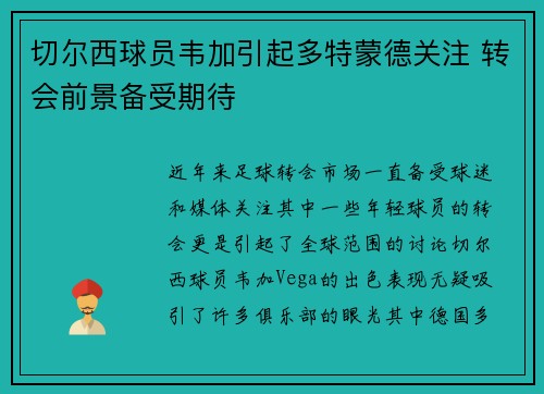 切尔西球员韦加引起多特蒙德关注 转会前景备受期待